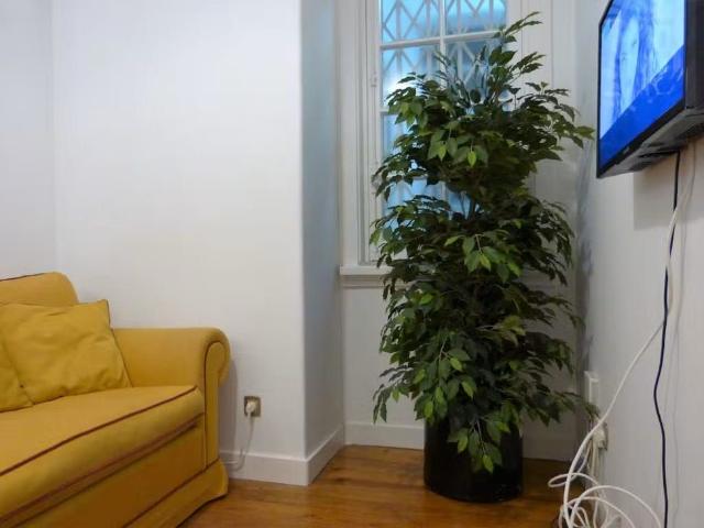 Apartamento alugar em Avenidas Novas, Lisboa