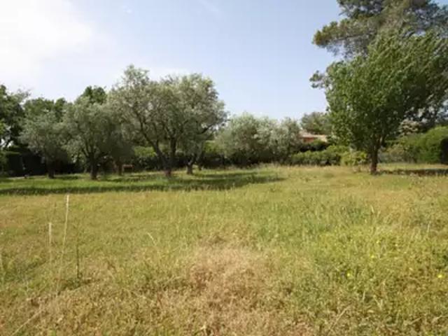 Terrain vente à France métropolitaine, Avensan