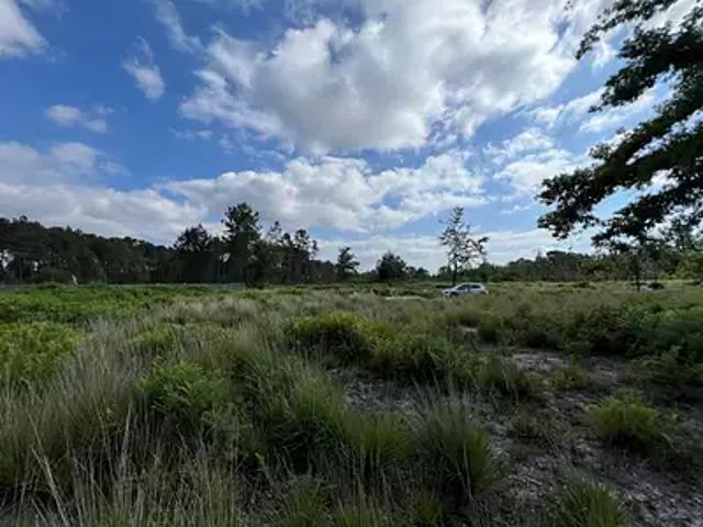 Terrain vente à Lesparre-Médoc, Avensan