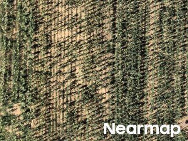 Farm for sale in Tulare, California
