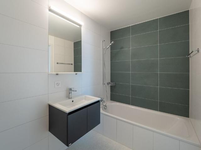 Apartment mieten in Vevey, Waadt