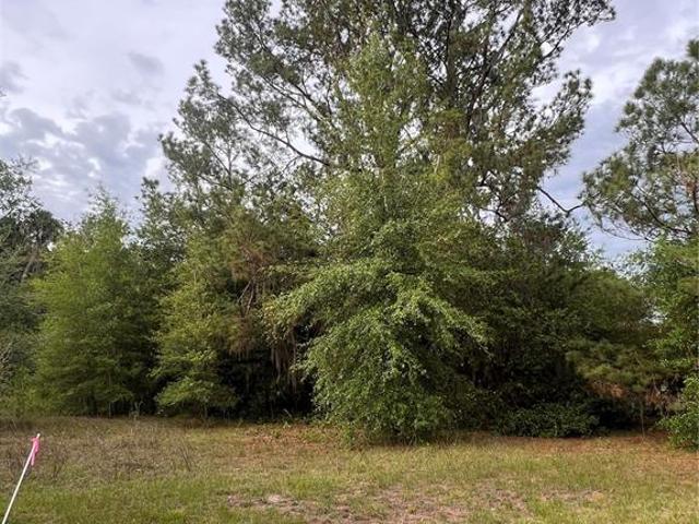 Land for sale in Florida