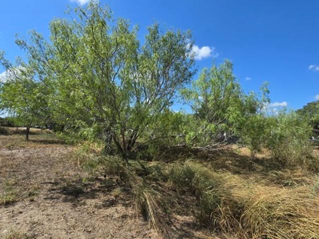 Land for sale in Poteet, Texas