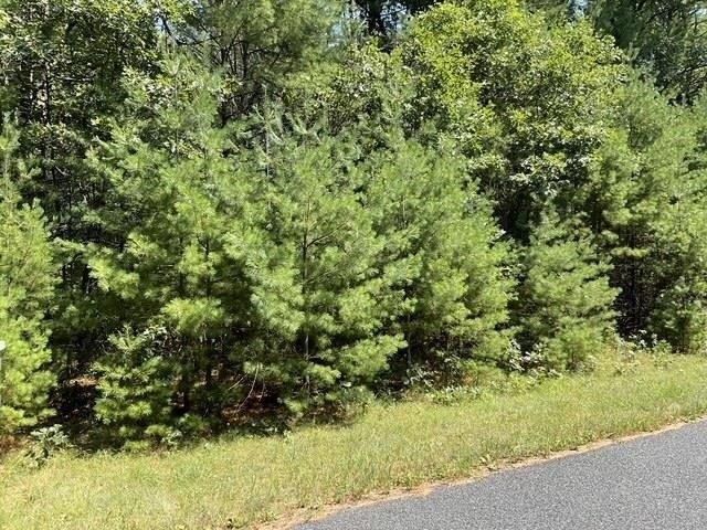 Land for sale in Arkdale, Wisconsin