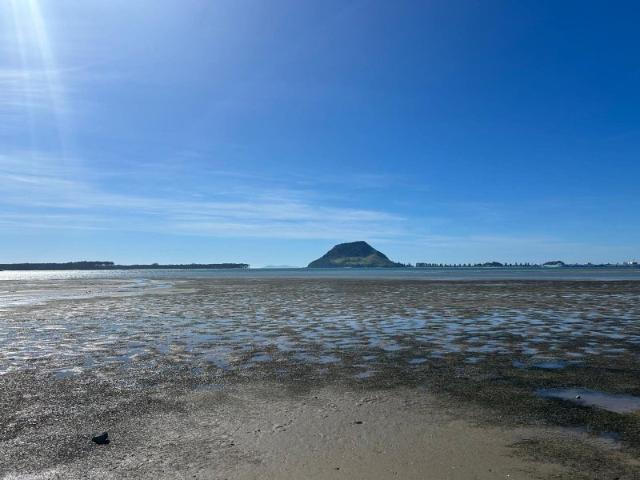 Apartment for rent in Omokoroa, Bay Of Plenty