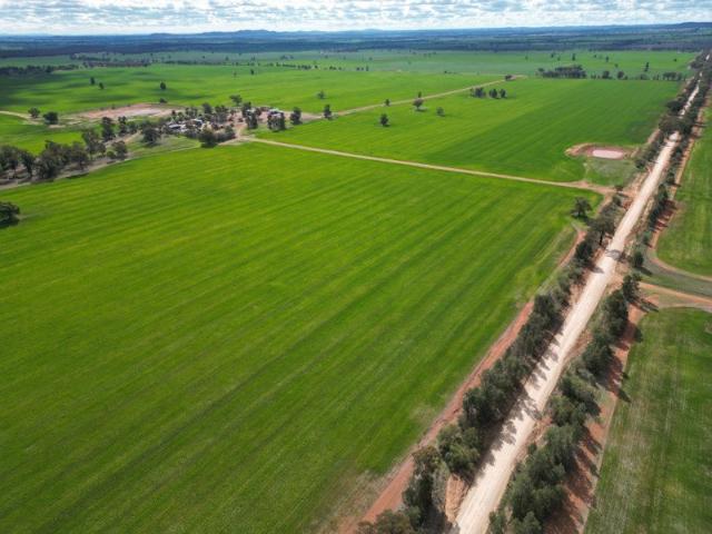 Cottage for sale in Ardlethan, Coolamon Shire Council