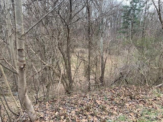 Land for sale in Ashland