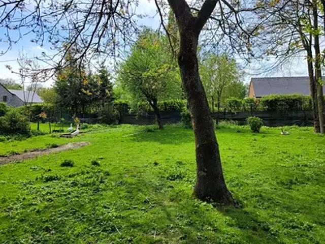 Terrain vente à Avesnes-sur-Helpe, Avesnes-sur-helpe