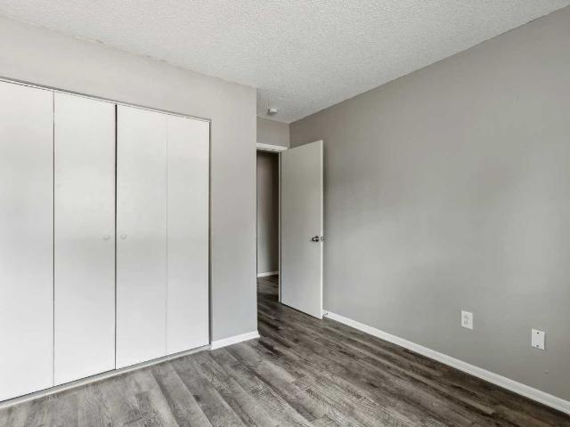 Apartment for rent in Colorado Springs, Colorado