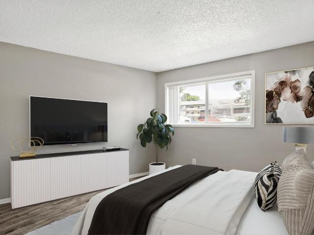 Apartment for rent in Colorado Springs, Colorado