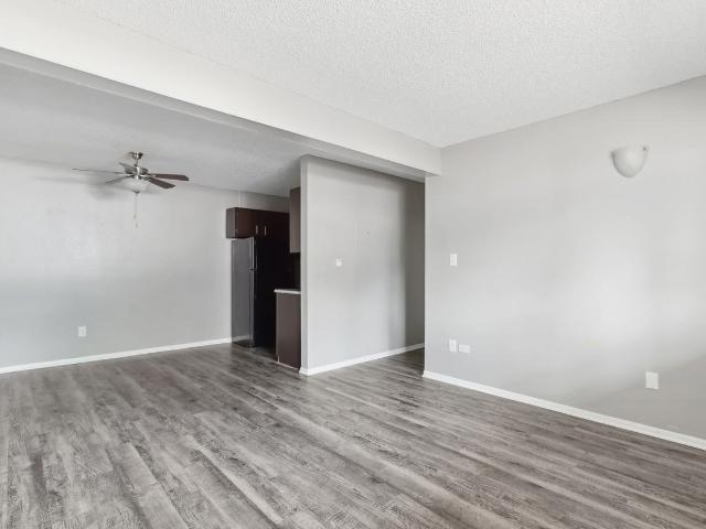 Apartment for rent in Colorado Springs, Colorado