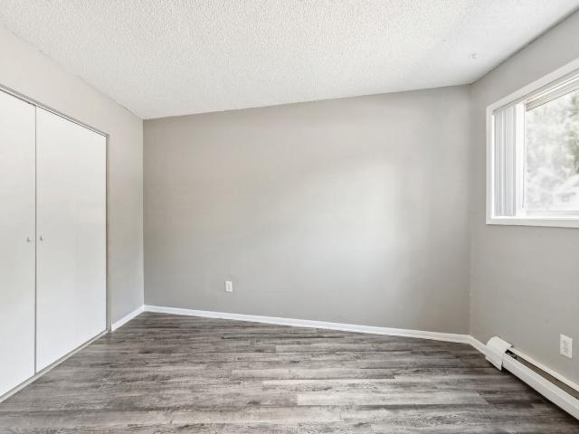 Apartment for rent in Colorado Springs, Colorado