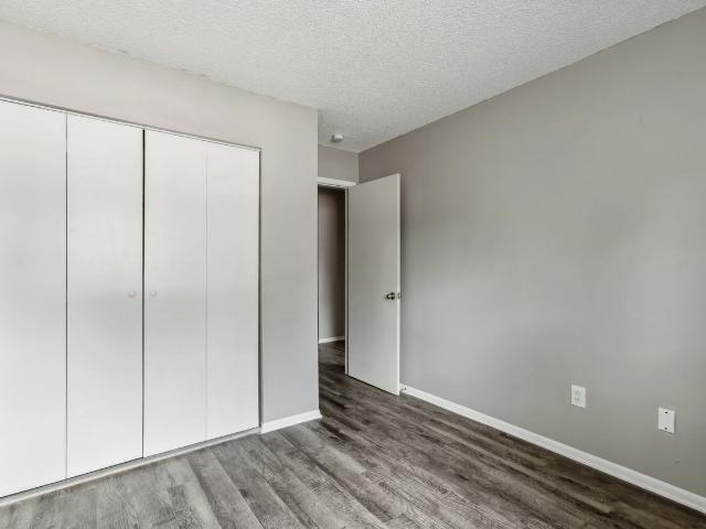 Apartment for rent in Colorado Springs, Colorado