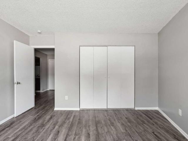 Apartment for rent in Colorado Springs, Colorado