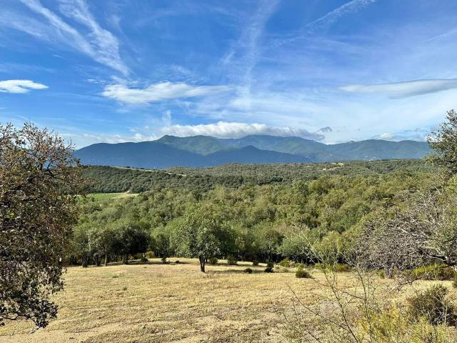 Terrain vente à Céret