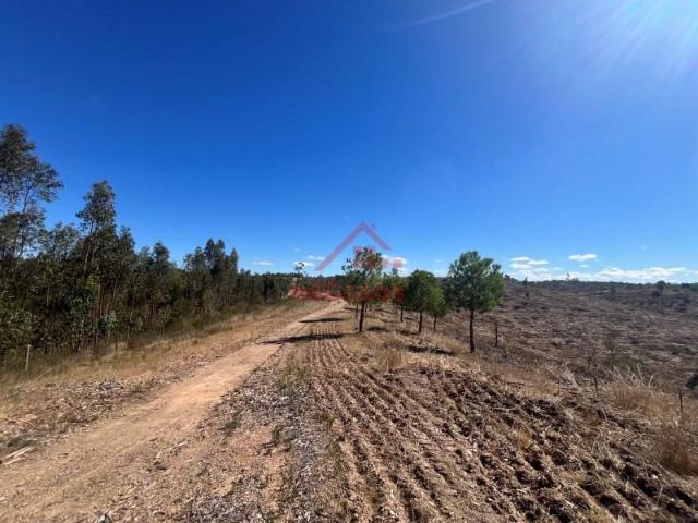Terreno venda em Alcórrego e Maranhão, Avis