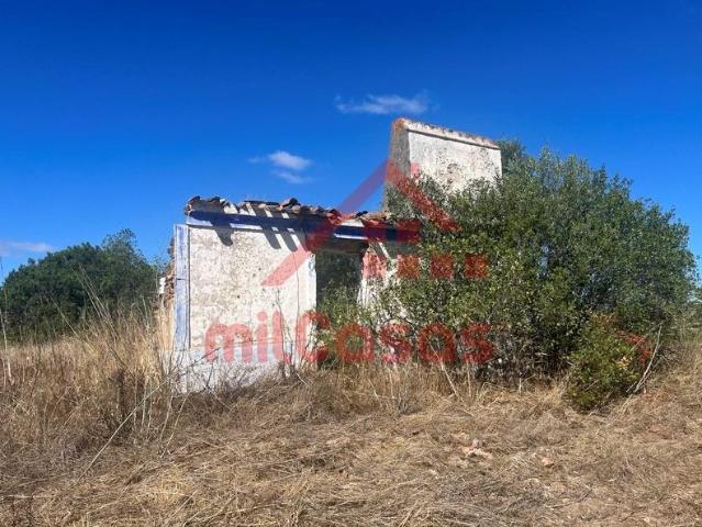 Casa venda em Alcórrego e Maranhão, Avis