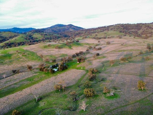 Cottage for sale in Willow Tree, New South Wales
