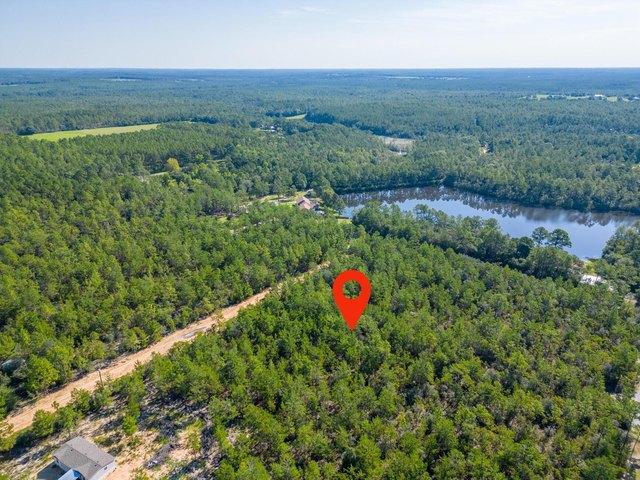 Land for sale in Walton, Florida