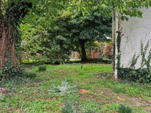 Maison vente à Avoine, Indre-et-Loire