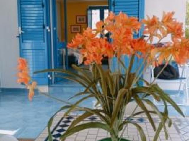 Villa Indipendente in affitto a Avola, Sicilia