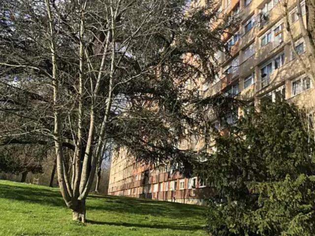 Appartement vente à Fontainebleau, Avon