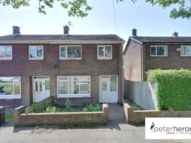 House for rent in Sunderland, Farringdon