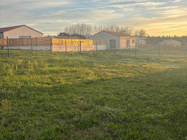 Terrain vente à France métropolitaine, Avrillé