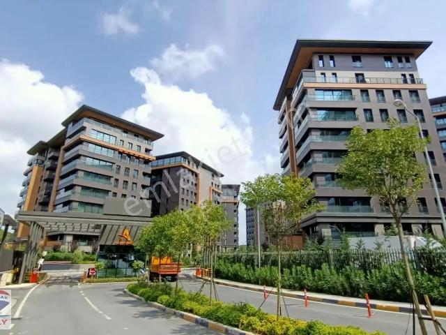 Hamidiye Mahallesi, Kâğıthane içerisinde kiralık mülk