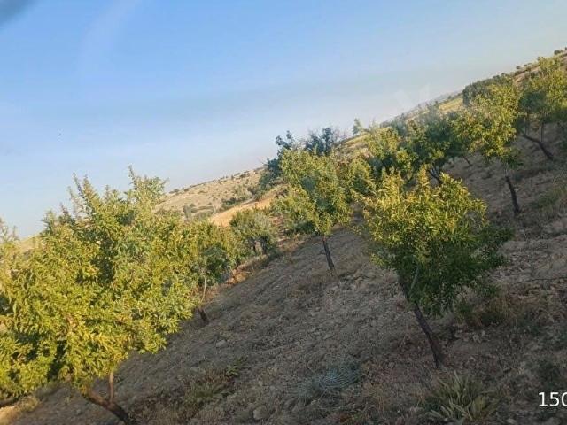 Çavuşpınarı, Karaman Merkez içerisinde satılık mülk