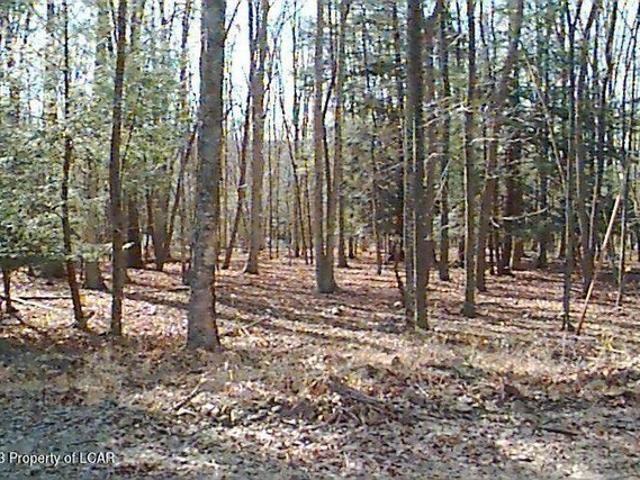 Land for sale in Hazleton, Pennsylvania