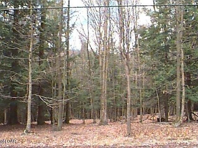 Land for sale in Hazleton, Pennsylvania
