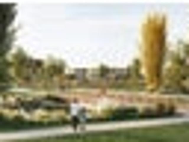 Land for sale in Feilding