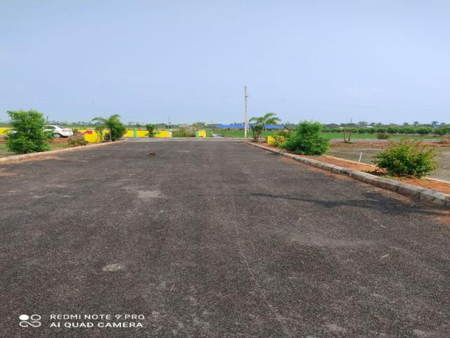 Land for sale in Lakhana, Arunachal Pradesh