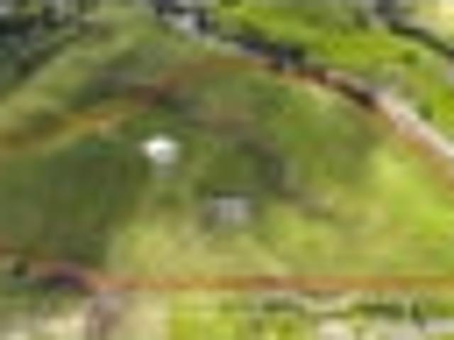 Land for sale in Kawau Island