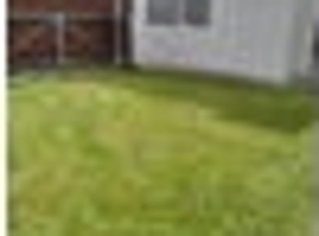 House for rent in Manawatu District