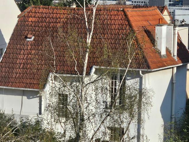 Appartement location à France métropolitaine, Chatou