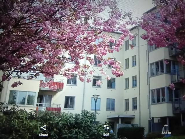 Lägenhet hyra i Halmstad, Halland