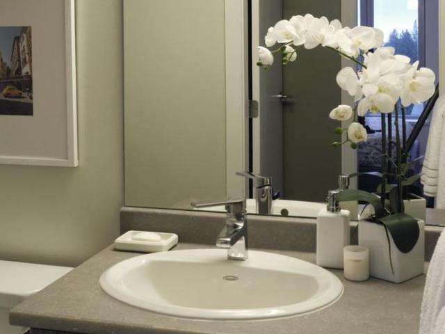 Apartment for rent in Vancouver, British Columbia