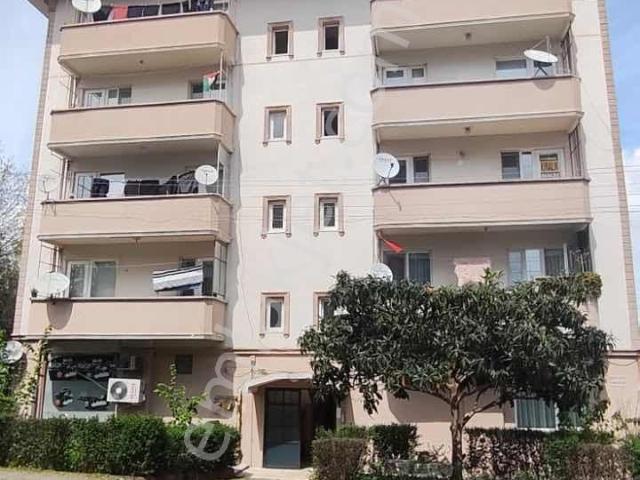 Erenler, Sakarya içerisinde kiralık mülk