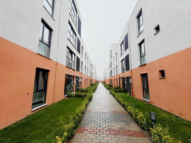 Arifiye, Sakarya içerisinde kiralık mülk