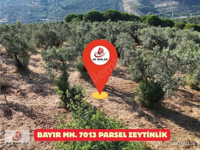 Armutlu içerisinde satılık mülk