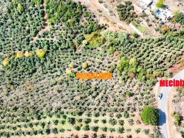 Armutlu içerisinde satılık mülk