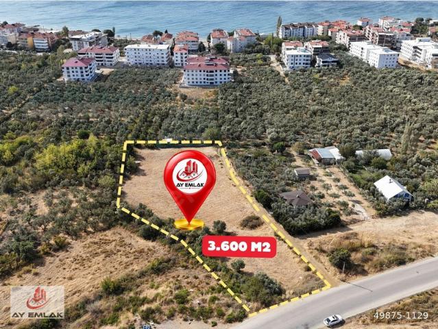 Tavşantepe, Armutlu içerisinde satılık Dükkan