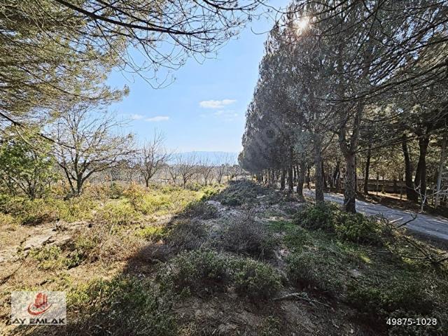 Armutlu, Yalova içerisinde satılık Arsa