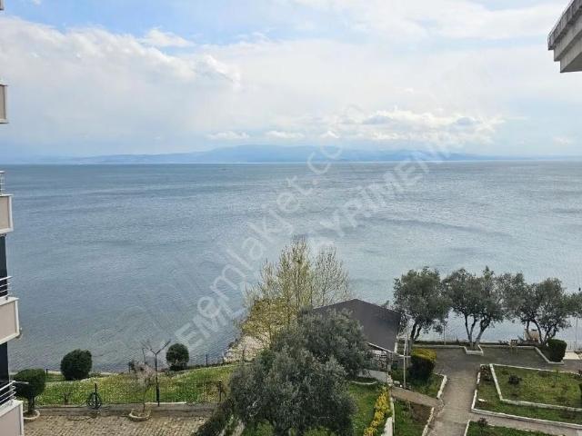 Armutlu, Yalova içerisinde satılık mülk