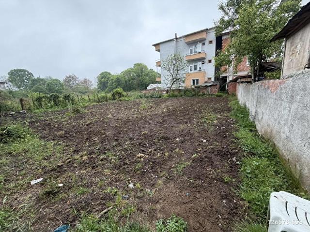 Çarşamba, Samsun içerisinde satılık Arsa
