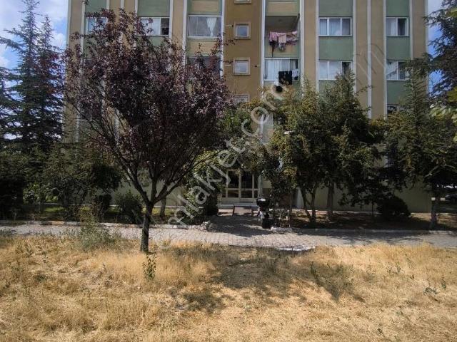 Nevşehir Merkez, Nevşehir içerisinde kiralık mülk