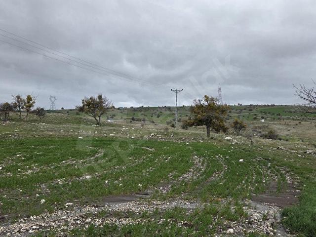 Ayaş, Ankara içerisinde satılık Arsa