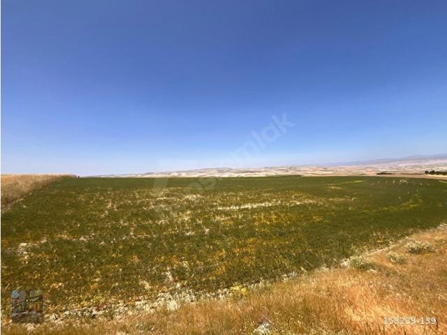 Ayaş, Ankara içerisinde satılık Arsa